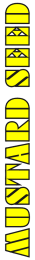The Mustard Seed